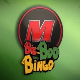 Play Big-Bod Bingo slot by FBM on robocatsfr.com