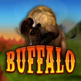 Buffalo Bingo slot logo by MGA Games at Robocat Casino